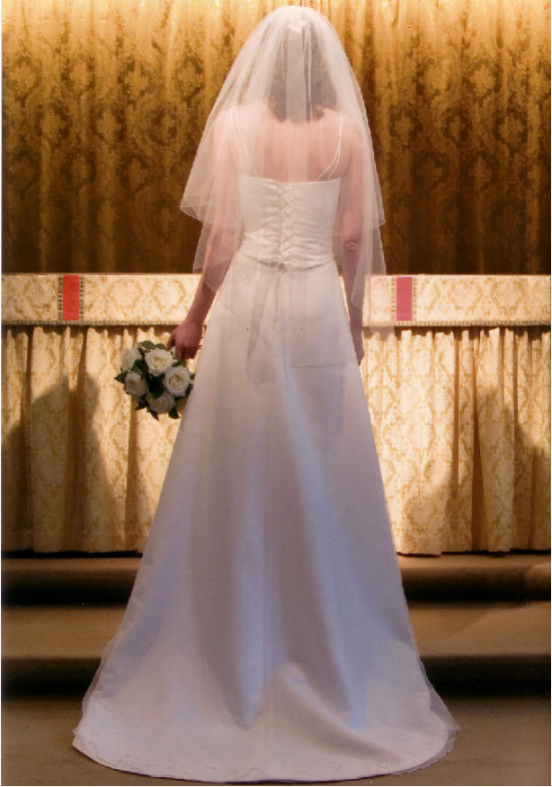 Embroidery detail accross skirt front and back of train Embroidery detail accross skirt front and back of train